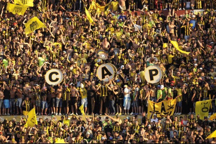 JorgeCBarrera's tweet photo. Dejaron el alma. Esto recién empieza . Las chances y la ilusión están intactas. Vamos Peñarol !!!! https://t.co/wbathZZAAd