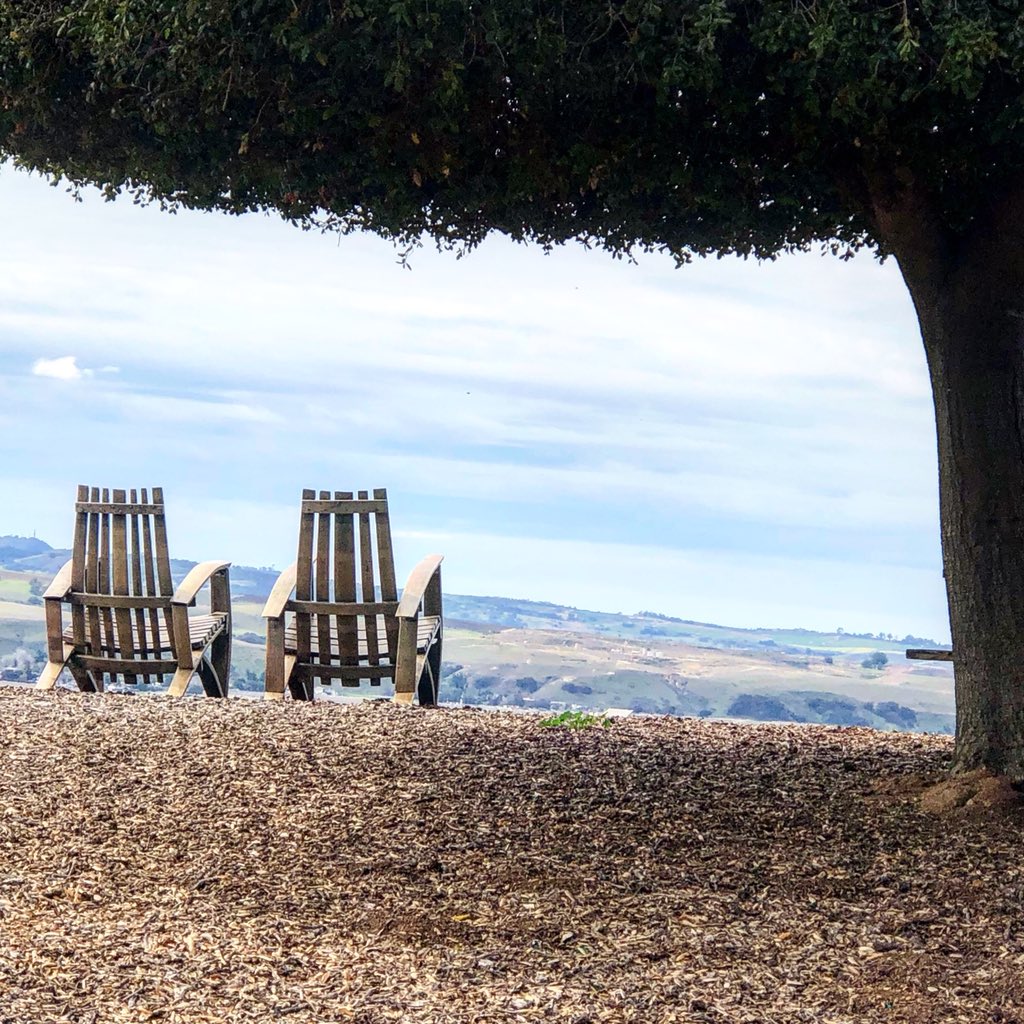 A beautiful day for wine tastings between storms.  #cambriawines #cambriawinery #santamaria #centralcoast #wines #winery #greatwine #onthesavoryroad