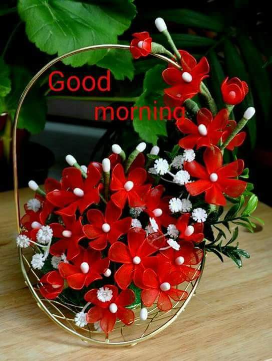 DongoJoshua's tweet image. 