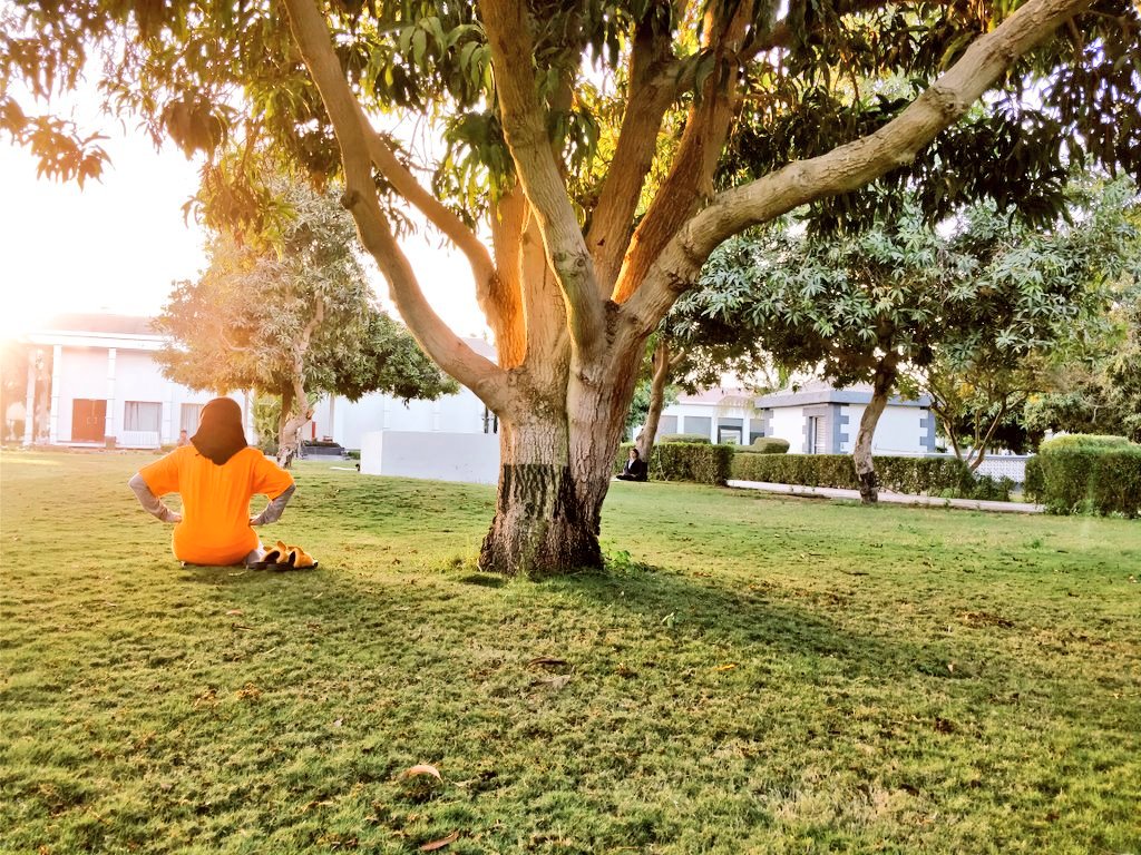 KamleshBarwal's tweet photo. When all you want to do is just merge with nature ... Your true nature ❤️❤️❤️
#Love #peace #joy
Glimpses of the ongoing 200Hr #Yoga Teachers Training Course of @ArtofLivingYoga at @alnahdaresort #Muscat https://t.co/FJybVb7PWc
