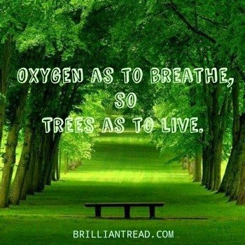 wmw111's tweet photo. RT KEarthProject "#recycle
#compassion
#wisdom
#kind
#kechara
#kecharaearthproject
#vegan
#vegetarian
#peace
#waste
#eco
#earth
#tsemtulku
#spreadawareness
#ecofriendly #ecowarrior
#climatechange
#GlobalWarming
#GoGreen https://t.co/YsF8sWprTL"