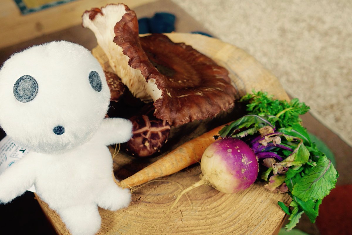 Permaculture, Okayama. 日本のパーマカルチャー #Permaculture #Okayama #Japan