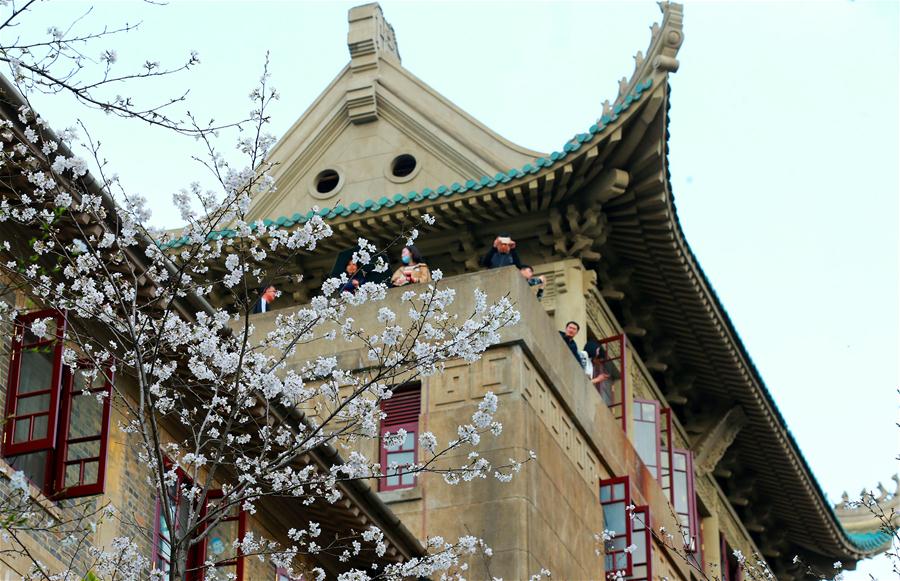 Guangming_Daily's tweet image. People view cherry blossoms at Wuhan University in C China
en.gmw.cn/2018-03/16/con…