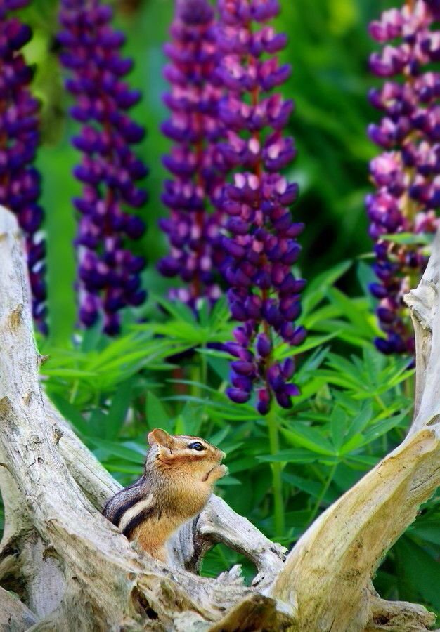 Happy Friday to you all !!
Amen ... by SymplImages