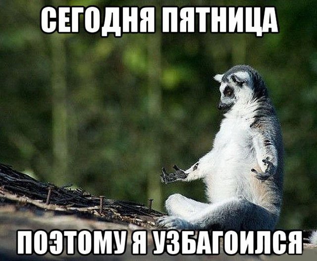 С началом конца рабочей недели, друзья!

#нашапочта #nashapochtaby #беларусь #минск