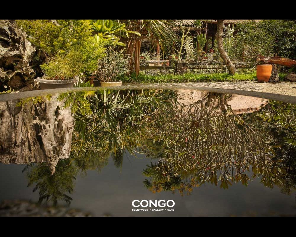 On Fridays, do you look forward to the weekend ahead or do you reflect on the days that have just passed?