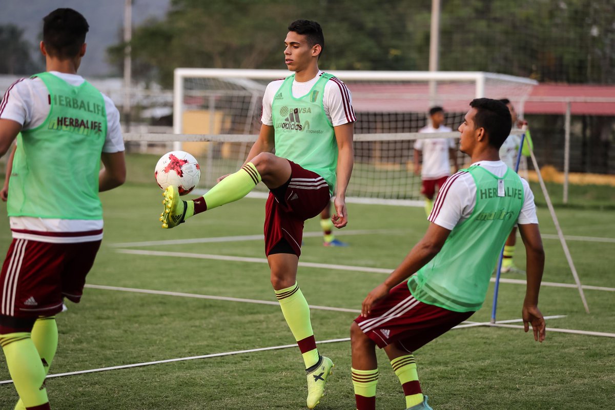 SeleVinotinto's tweet image. #Sub20 | Hoy la Vinotinto sub-20 disputó la cuarta sesión de entrenamiento en el #Módulo12 de Barinas. #SomosDeTallaMundial #RumboAlSudamericanoSub20 #Vinotinto