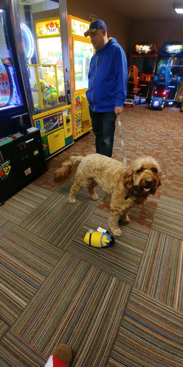 DoodleKushman's tweet photo. Won at the arcade tonight with my dad. https://t.co/uJiNLTGBtG