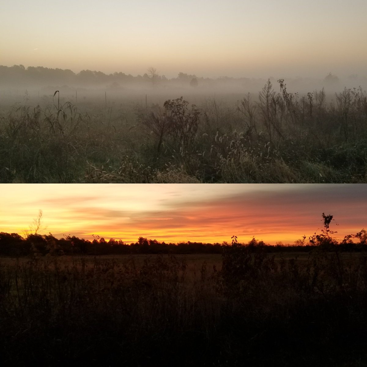 AsperaOutdoors's tweet photo. Same spot, different times of day! #smoke #fire #fog #sunset #godsgreatoutdoors #SKREgear #purewhitetail #scentcrusher #tactacam #wyndscent #fourtharrow https://t.co/EhIBQoouqT