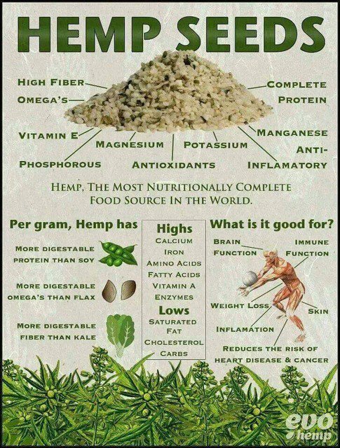 #HEMP: The Most Nutritionally Complete #Food in the World. 🌿🍃