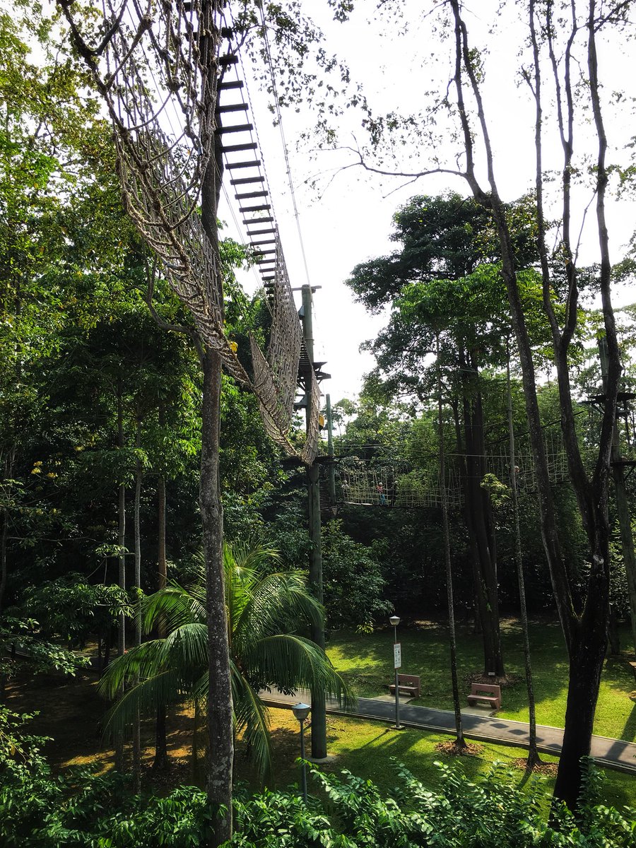 SaraKThompson's tweet photo. A fun morning up in the treetops  at @SAFRAsg in #Yishun #treetops #adventure @GEMS_Singapore #weekwithoutwalls #incountryprogram #fieldtrip #GEMSinspire https://t.co/FHlQEDeJOW