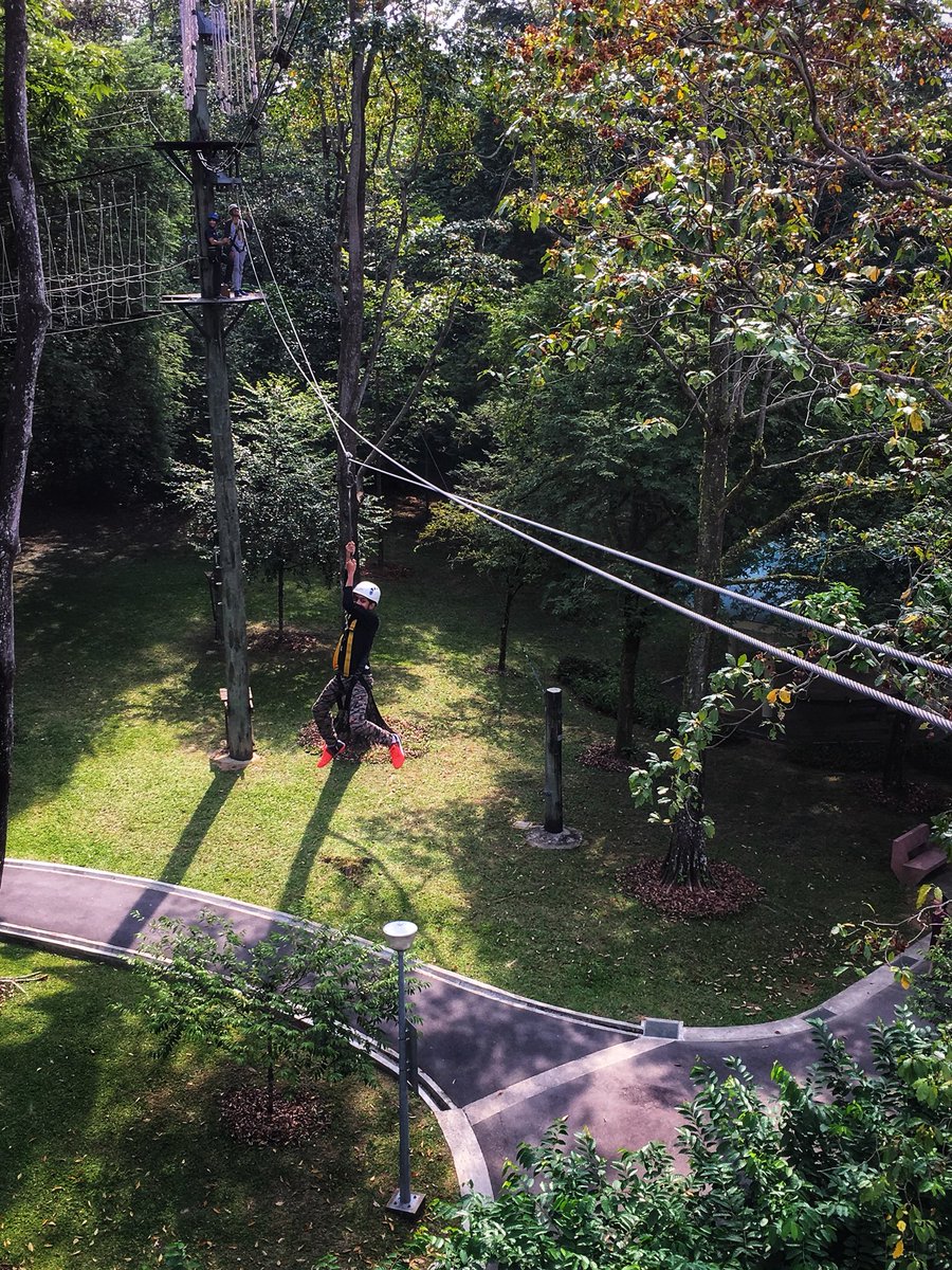 SaraKThompson's tweet photo. A fun morning up in the treetops  at @SAFRAsg in #Yishun #treetops #adventure @GEMS_Singapore #weekwithoutwalls #incountryprogram #fieldtrip #GEMSinspire https://t.co/FHlQEDeJOW