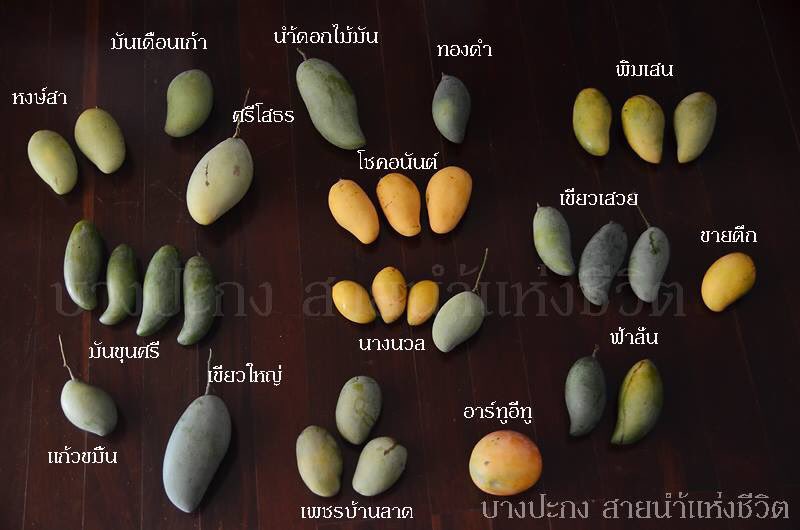 Kotratchapoom's tweet photo. แม่หญิงใช้มะม่วงอันใดฤาทำน้ำปลาหวาน. #บุพเพสันนิวาส  cr.ภาพจากinternet https://t.co/e5vagjInO0