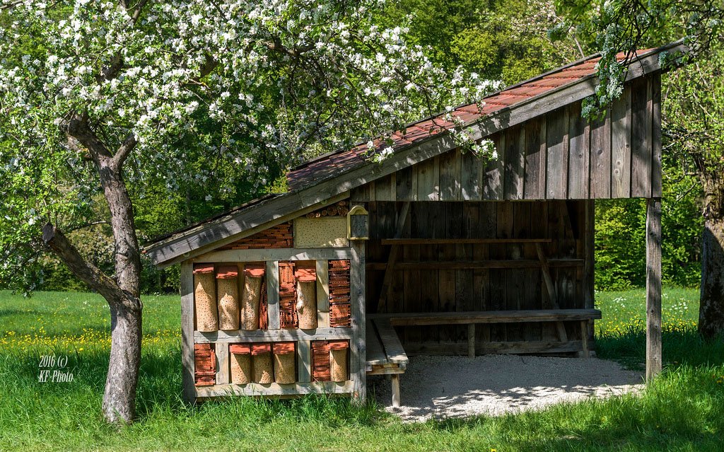 Last but not least, even "wild bees" and solitary bees have had houses built for them by humans eager to help the bees in their work of pollinating fields and orchards. Here is one from Germany.