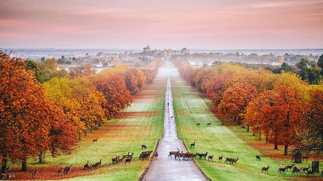 TravelWithCBA's tweet photo. https://t.co/UY7P0QwfMg https://t.co/xv4E44clM2