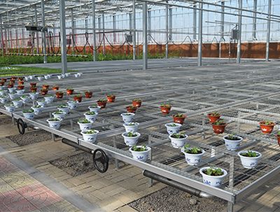 Chenchao Wire mesh (@ChenchaoMesh) / Posts / X