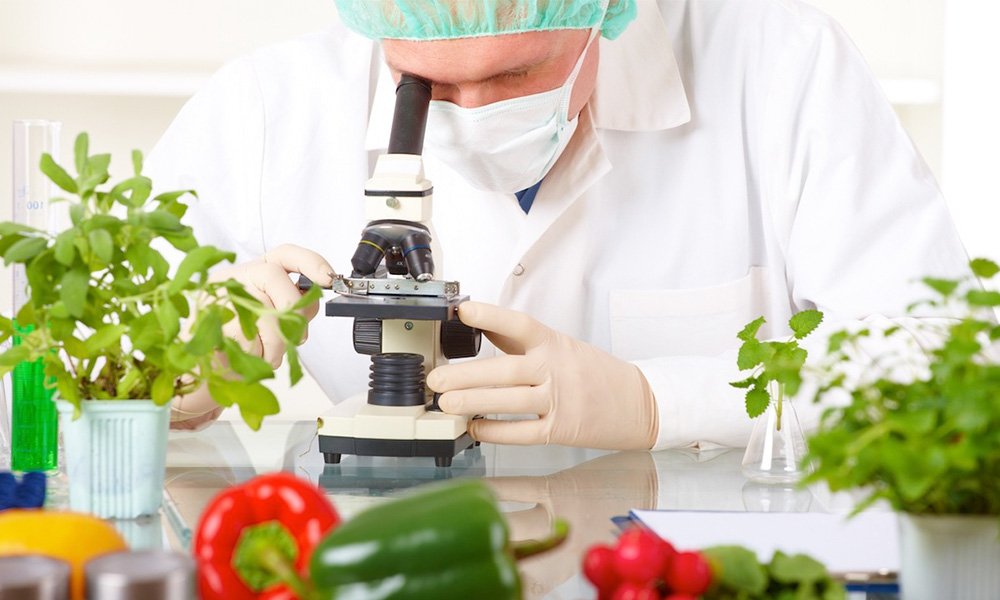 farmerscornerng's tweet photo. challenge today's agricultural practices, put queries around culture, science and technology, share your thoughts with the like-minds on innovation and invention, and communicate your success through the community for investors to invest -via https://t.co/mO8RJpnlmw #MentalTask https://t.co/8mhzgv1xgQ