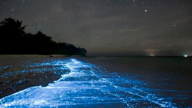Five-Amazing-Things-That-Happen-In-The-Ocean-At-Night
buff.ly/2tEiBJU