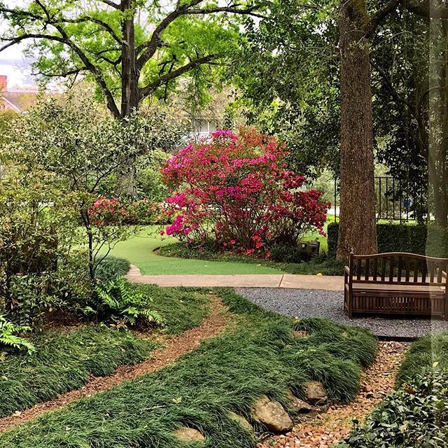 HoustonianHotel's tweet photo. Meeting rooms with a view! #nature #hotellife #meetingplanner #azalea #nature #meetingflow #businesscasual #meethere #instadaily https://t.co/37iJzj1Hxu https://t.co/UUzFETr1Va