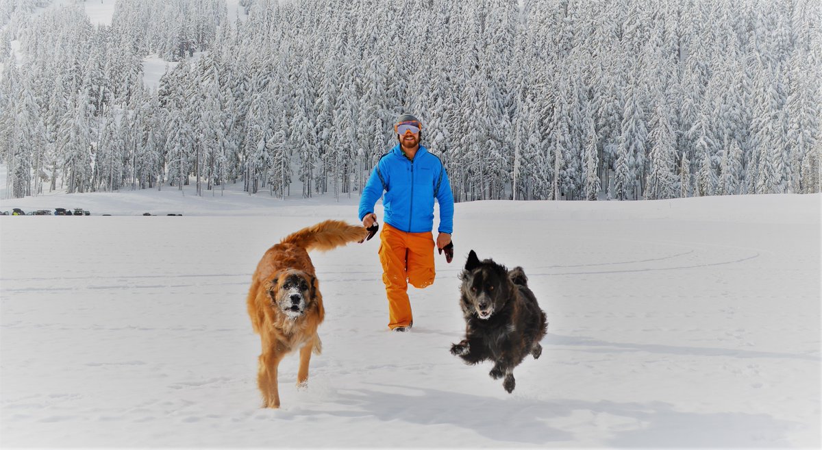 HeatherDownin13's tweet photo. It's always good to get in a jog before hitting the slopes, and it's more fun when you have enthusiastic partners! #outsidedogs #snowdog #dogsoftwitter #protectourwinters https://t.co/oE3erMLWO4