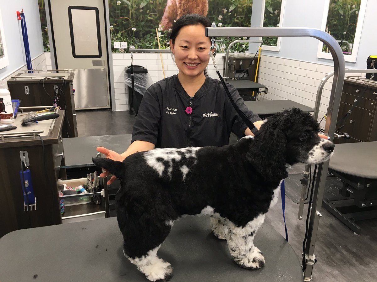 #northeastgrooming @LauraG_DAT North Babylon 2743 Groomer: Jess