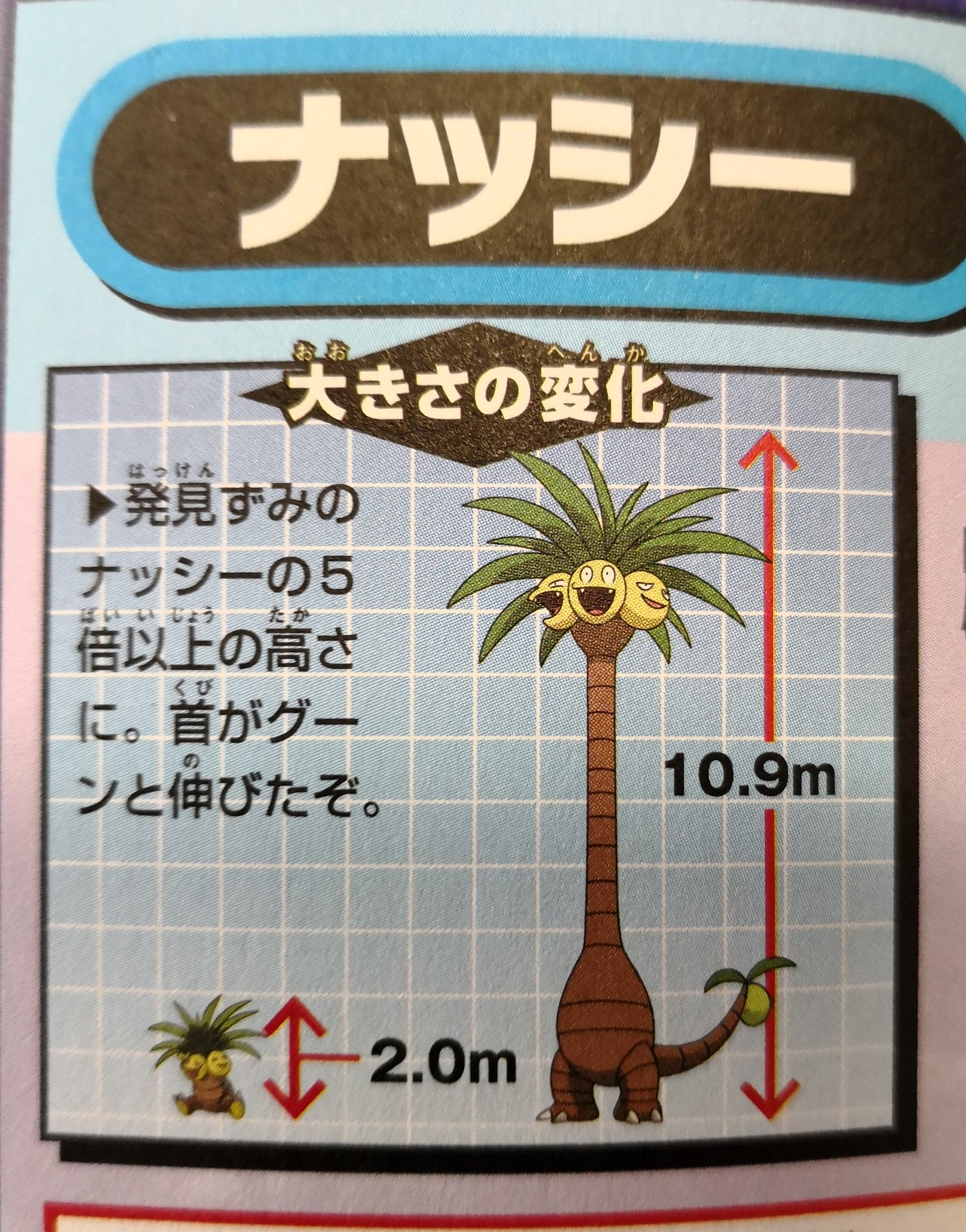 アローラナッシーとタマタマのサイズ Twitter