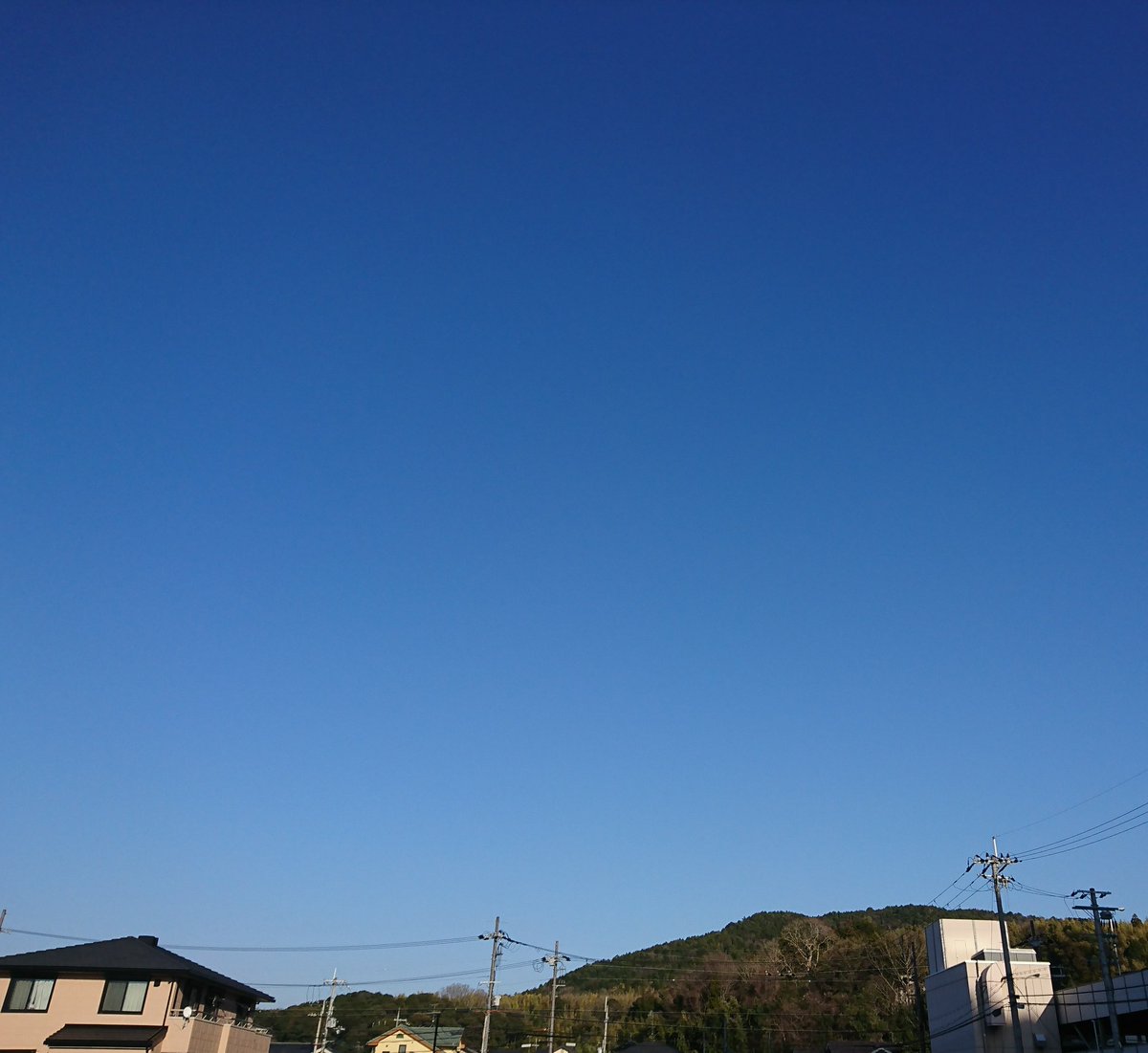 💎チサト official💎 tweet media
