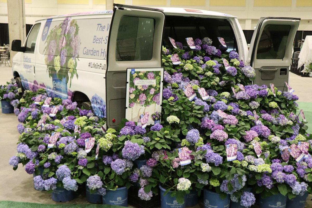 BLOOMTASTIC! 🚚 overflowing with #hydrangeas 💐 <a href="/ESHydrangeas/">Endless Summer®</a> 😍😍😍 @ChicagoFlower <a href="/HughE_Dillon/">PhillyChitChat</a> <a href="/The_RHS/">The RHS</a> <a href="/subaru_usa/">Subaru</a> @AbruscatoTony <a href="/TracyButlerABC7/">Tracy Butler</a> <a href="/kmillerlib/">kristina liberatore</a> <a href="/DinaBairWGN/">Dina Bair</a> <a href="/NavyPier/">Navy Pier</a> <a href="/ALLACCESSGARDen/">ALL ACCESS GARDENING</a>