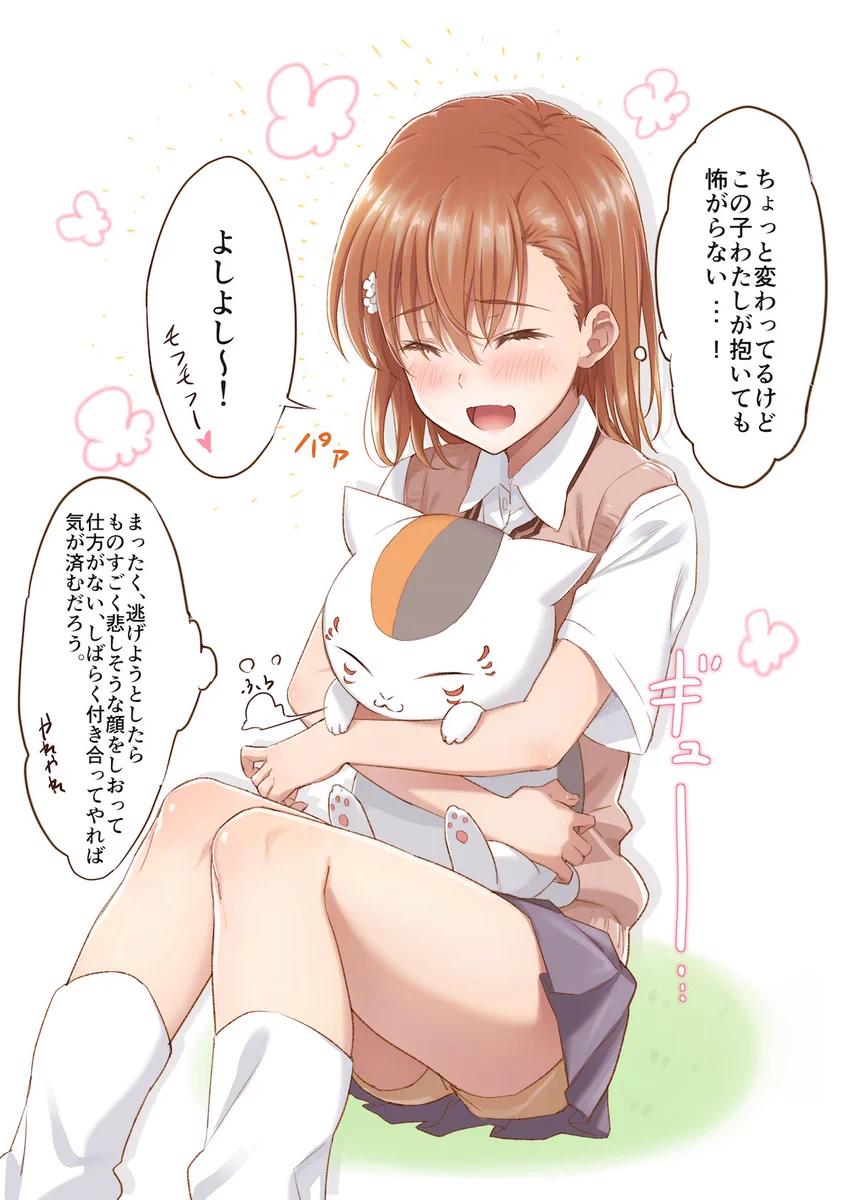ニャンコ先生と美琴のコラボ？新鮮だけど違和感がないｗ