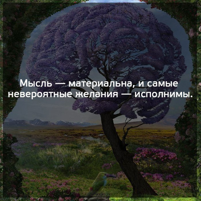Мудрость веков (@delaisam) on Twitter photo 