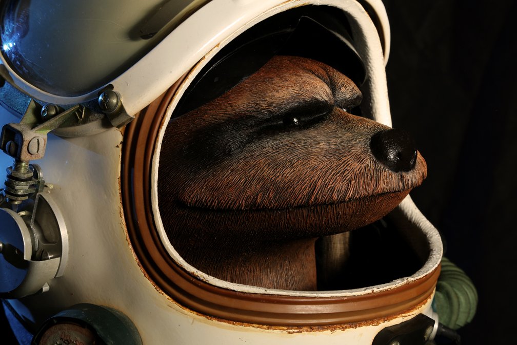 Ready for my first mission.