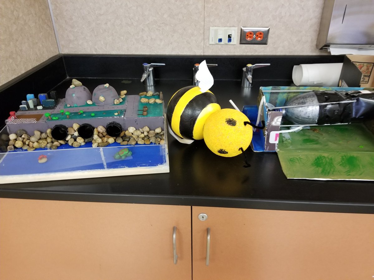 PerkScience's tweet photo. This latest project was all about Ss choice, Ss voice, and real world issues! I was so impressed at the solutions the Ss came up with and the prototypes they designed! #schoolisreal #WCHackersClub #NGSS https://t.co/yBHWghZm3i