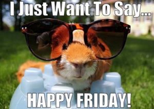 PendletonNW's tweet image. 