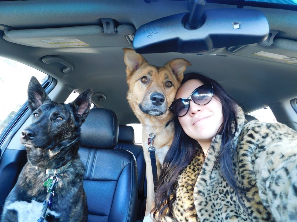 IndigenousXca's tweet image. Chelsea said I can tweet whatever I want so here it goes: 
these are my dog-daughters, Cedar &amp;amp; Willow. #rezdogs #lovesofmylife ❤️❤️