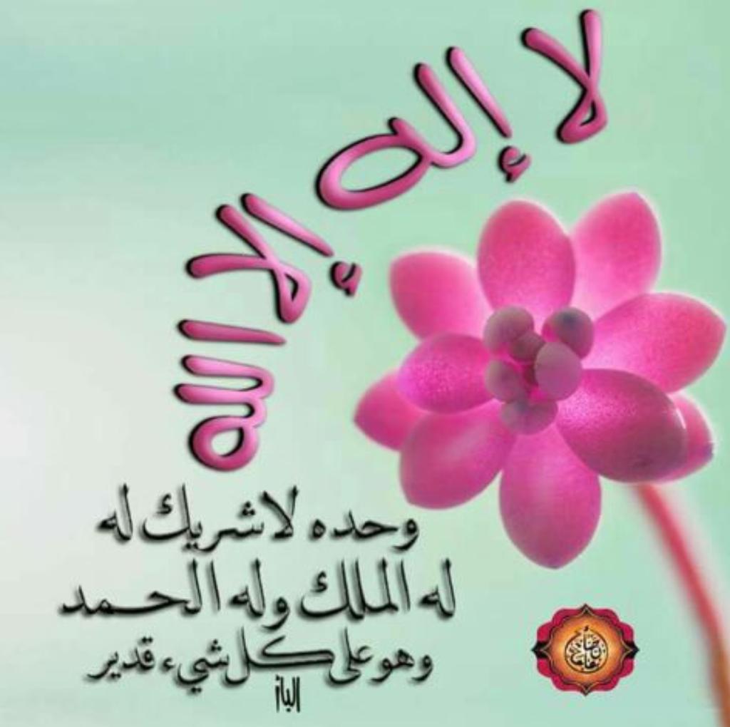 eaacae's tweet image. سلمت وجهيي للذي أحياني 
سلمت أمري للذي سواني 
فلذاته خشع الوجد جميعه
 إليه يرجع سائر الأ كواني
رباه ياذا الفضل يارب الورى
أدعوك في سري وفي إعلاني
أرجوك عفوك عن ذنبي وعصياني

#غفراااانك يااارب  ❤