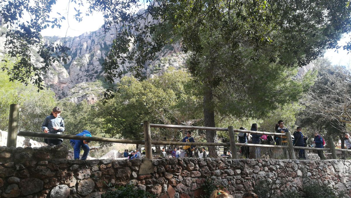 EscolaJMaragall's tweet image. 3r i 4ts estem a les #covesdecollbato