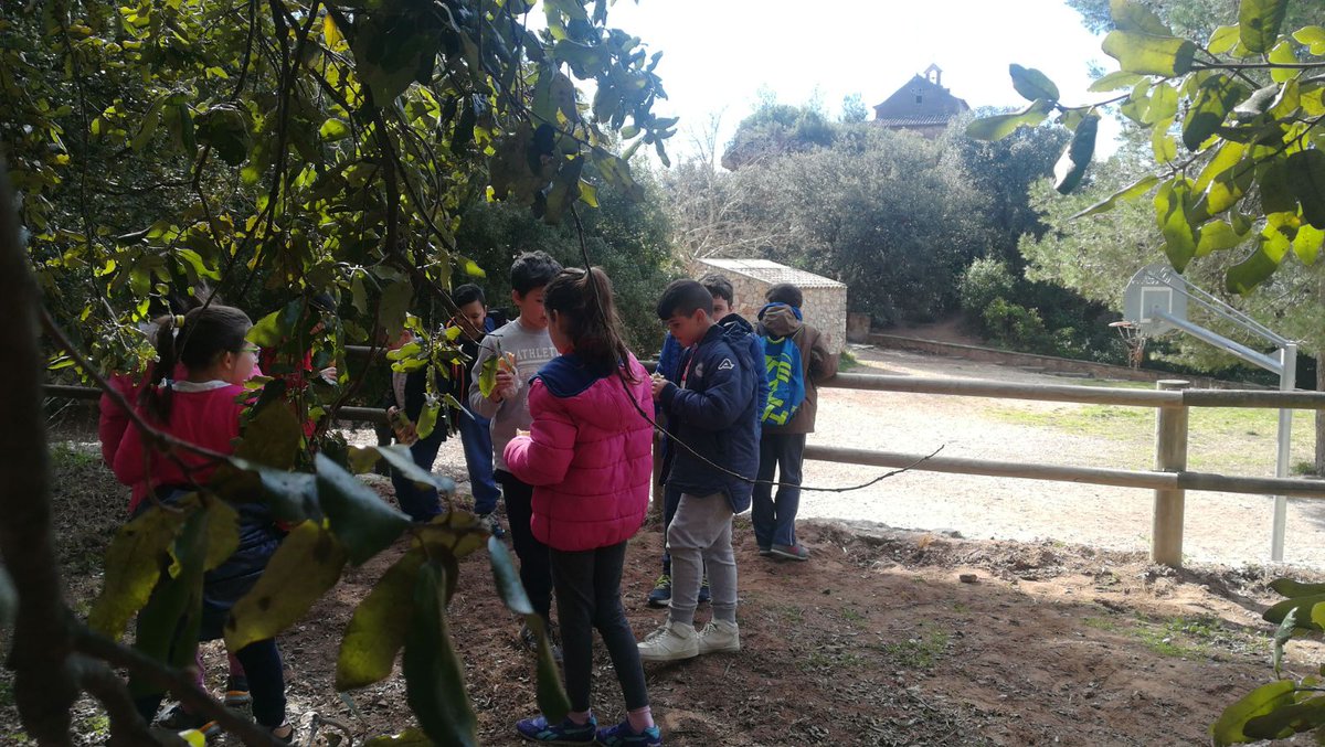 EscolaJMaragall's tweet image. 3r i 4ts estem a les #covesdecollbato