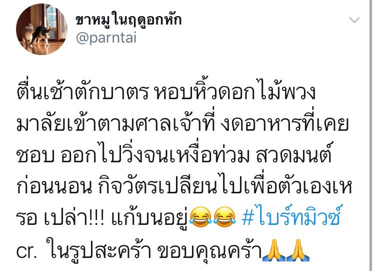 marrypidlok's tweet image. บนโลกนี้มีด้อมไหนบนเยอะเท่าด้อมกูมั้ยวะ55555555555555555555555555555555555555555555555555บนทุกอย่างตั้งแต่เจอกันยันเอาจดหมายไปคืน บนวนไปจนกว่าเค้าจะได้กันอ่ะค่ะ
#ไบร์ทมิวซ์
#TUSexyBoy
#ChulaCuteBoy