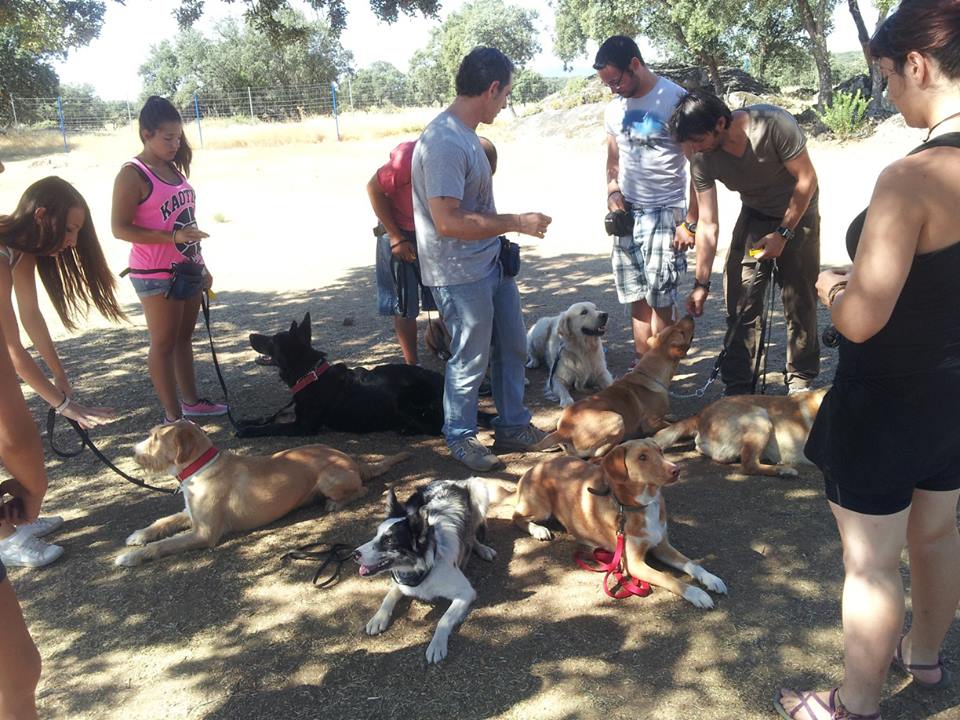Escuela FP Canina tweet media