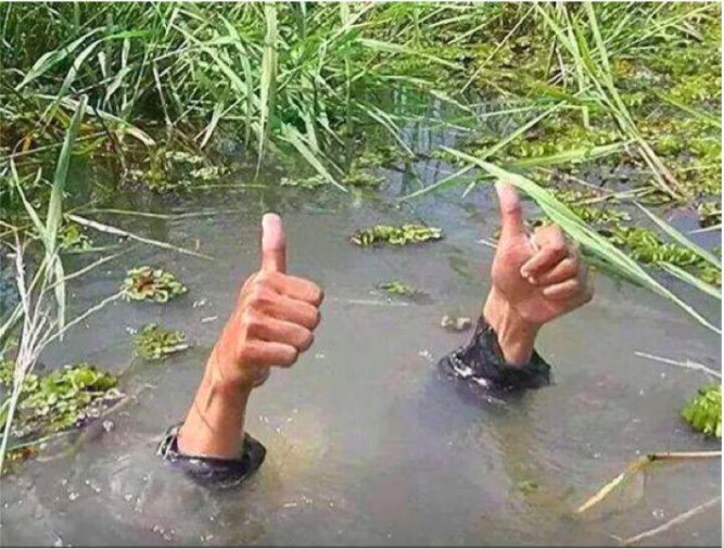 ¿Cómo llevas la evaluación?