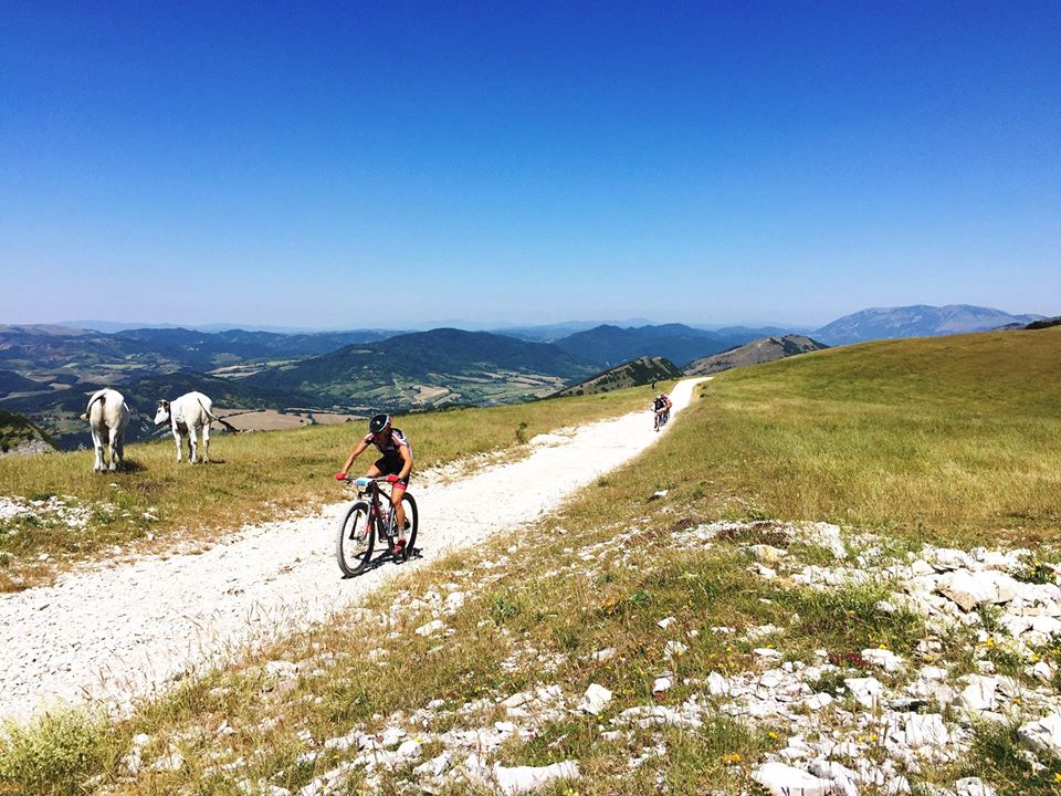 Parchiattivi's tweet photo. Domenica 10 giugno 2018
GRAN FONDO del Monte Cucco
#MonteCucco #Parchiattivi #bici #montagna #mountainbike #Costacciaro
Mancano 4 mesi alla decima edizione della Gran Fondo del Monte Cucco il percorso in uno degli scenari più suggestivi del centro Italia
https://t.co/KpobGSBpwE https://t.co/vlJiWIds6s