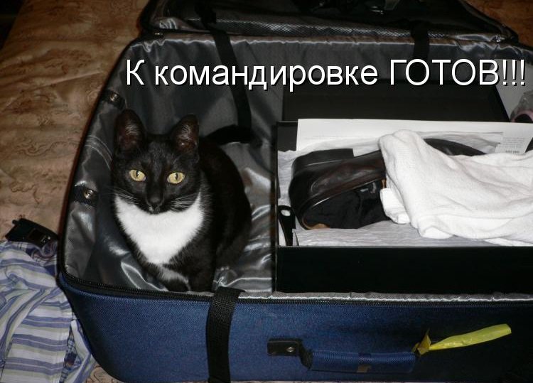 Надписями, картинки про командировку прикольные
