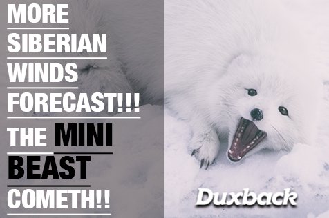 DuxbackUK's tweet photo. Mini Beast on its way!!

Check out the latest Met office report for the weekend - https://t.co/bMvI3w1fvJ

Get your car ready and be careful on the roads.

https://t.co/AXxfVIRLCx https://t.co/xu2I40Ngz9