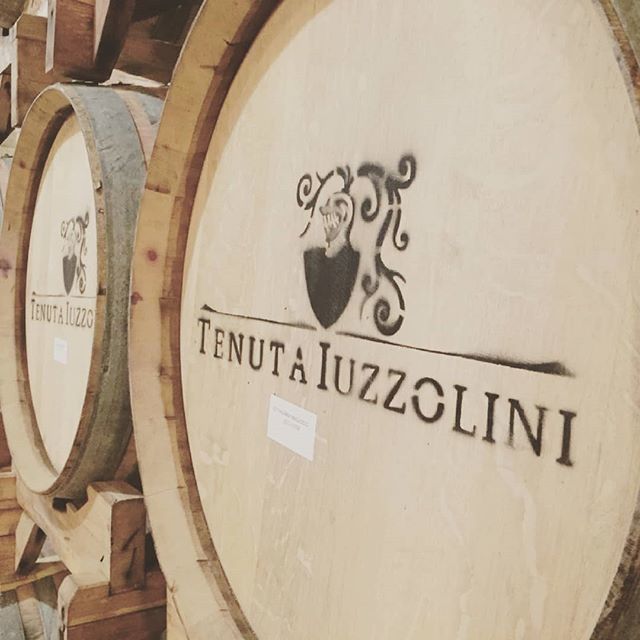 tenutaiuzzolini's tweet photo. Il vino dovrebbe essere mangiato, e troppo buono per essere solo bevuto ..
(Jonathan Swift)
#vino #vinocalabria #vinicalabresi #tenutaiuzzolini #iuzzolini #calabria #ciro #ciromarina #vinitaliani #viniitalia #kalabrien #weine #italienischeweine #weineka… https://t.co/9iQHtxv9p8 https://t.co/CXChXC8OYp