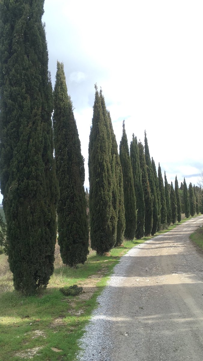 Essentialitaly's tweet photo. The Crete Senesi area of Tuscany. Perfectly mind blowing. 
.
#tuscany #travel #cretesenesi #travelinspo #fridayfeeling #essentialitaly https://t.co/TAc5Tzi1ut
