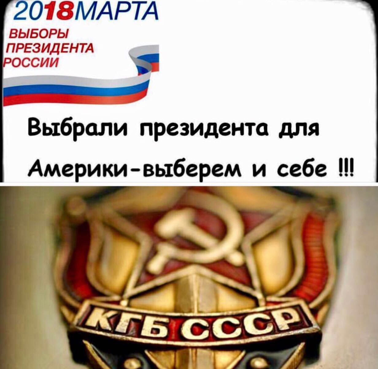 Все на выборы! Все на выборы!