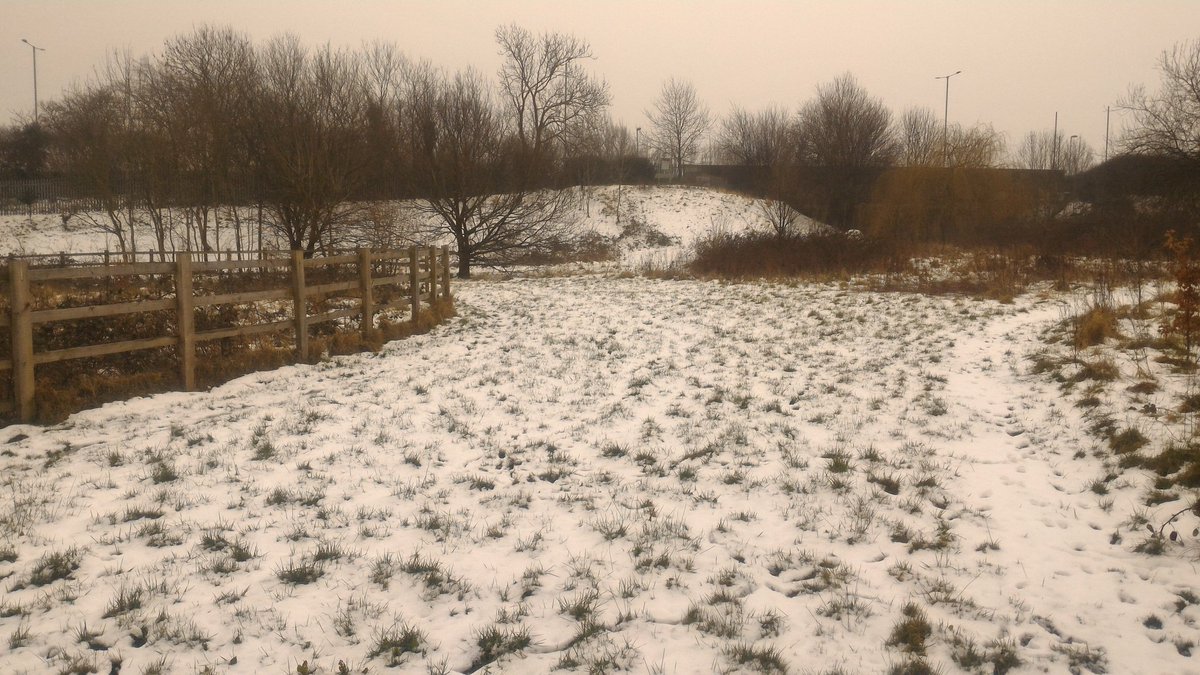 donaldelyven's tweet photo. Due to the v cold windchill forecast for this weekend, & the probability of snow, we will not be open for volunteers at the Pasture this Saturday #StillWaitingForSpring @stephenshouse @FofWOS @AlexAskew1313 @FinchleySociety @FinchleyGreat @FinchleyHort @EastFinchleyN2 @GrangeBL https://t.co/AmsPWWPjGV