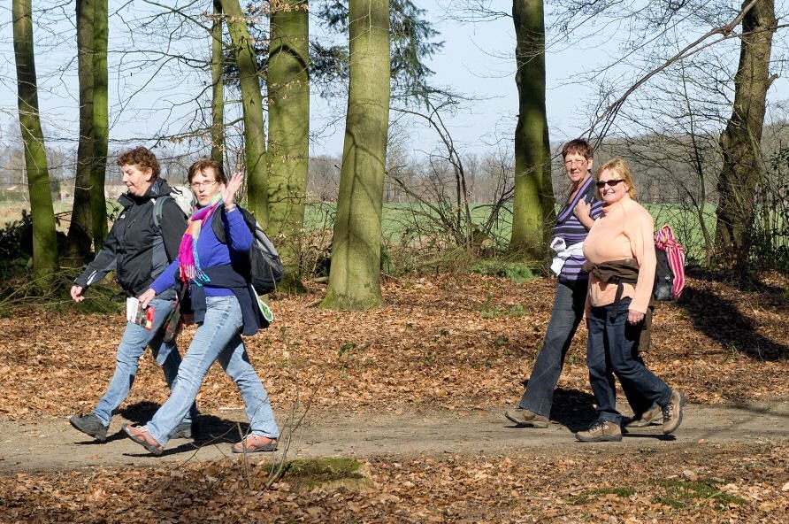 Wandelzoekpagina tweet media