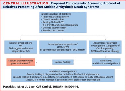 Valentin Fuster discussing ajmaline provocation in investigation of sudden arrhythmic death syndrome and quoting Pedro Brugada. High praise for our work <a href="/MichaelPapadak2/">Prof Michael Papadakis</a> ! player.fm/1ppxLC