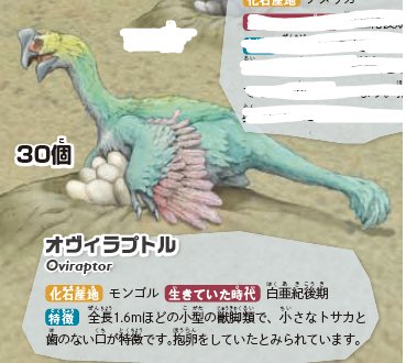 オビラプトル 卵 ハイクオリティ 化石 恐竜 載せ
